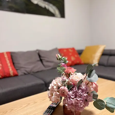 Appartement Altstadt - Wohnen Im Herzen Der Stadt Koblenz (Rhineland-Palatinate)