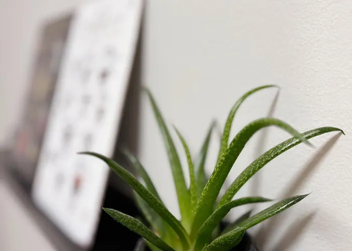 Altstadt - Wohnen Im Herzen Der Stadt * Koblenz (Rhineland-Palatinate)